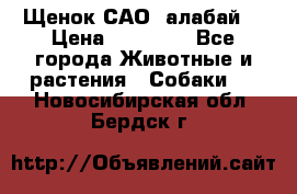 Щенок САО (алабай) › Цена ­ 10 000 - Все города Животные и растения » Собаки   . Новосибирская обл.,Бердск г.